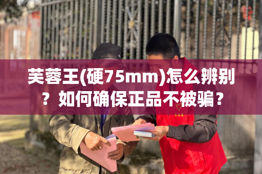 芙蓉王(硬75mm)怎么辨别？如何确保正品不被骗？